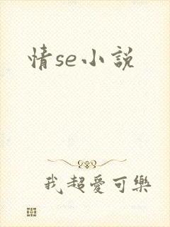 情se小说