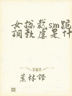 女总裁sm跪爬调教虐是什么