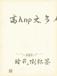 高hnp文多人