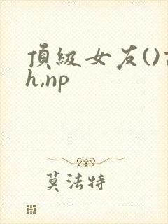 顶级女友()高h,np封面