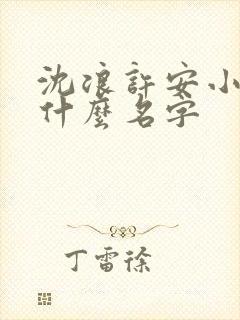 沈浪许安小说叫什么名字