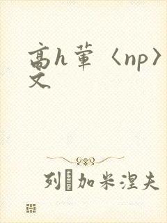 高h荤〈np〉文