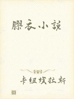 胶衣小说