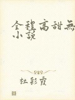 全程高甜无虐的小说封面