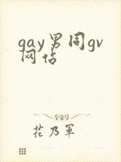 gay男同gv网站