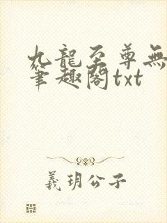 九龙至尊无删节笔趣阁txt封面