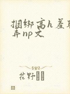 捆绑高h羞耻玩弄np文封面