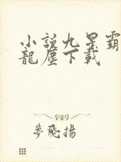 小说九星霸体诀龙尘下载