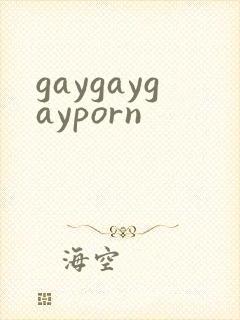 gaygaygayporn