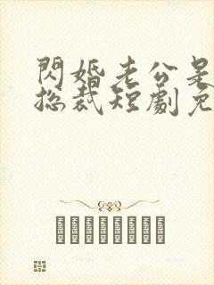 闪婚老公是亿万总裁短剧免费观看