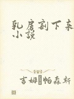 乳房割下来玩弄小说