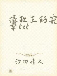 摄政王的宠妻日常txt