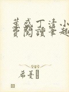 叶盛丁清小说免费阅读笔趣阁