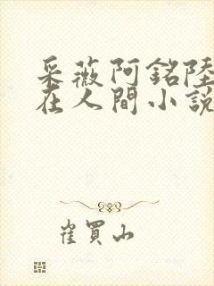 采薇阿铭陆三平在人间小说