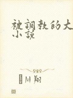 被调教的大小姐小说