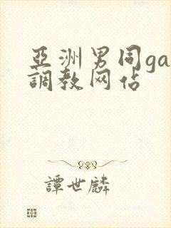 亚洲男同gay调教网站