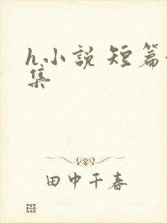 h小说 短篇合集