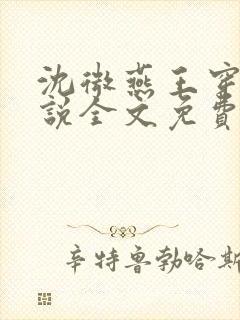 沈微燕王穿越小说全文免费阅读