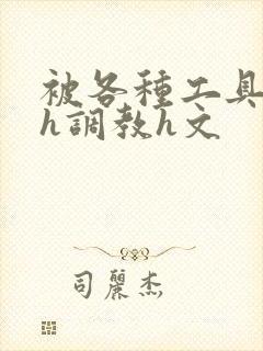 被各种工具调教h调教h文封面