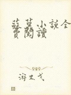 苏莫小说全集免费阅读