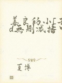 善良的小[子hd无删减播中文封面