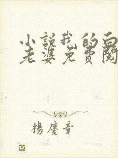 小说我的白富美老婆免费阅读原文封面