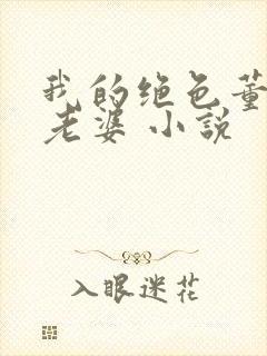 我的绝色董事长老婆 小说