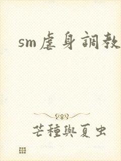 sm虐身调教文