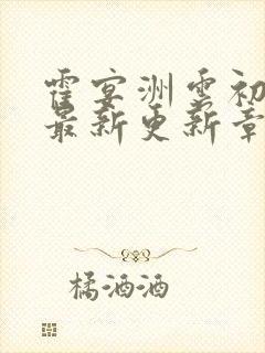 霍宴洲云初全文最新更新章节阅读