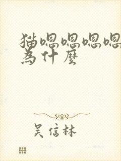 猫嗯嗯嗯嗯叫是为什么