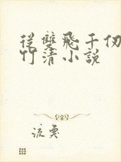 从双飞千仞雪朱竹清小说封面