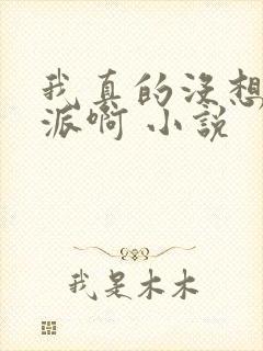 我真的没想当反派啊 小说封面