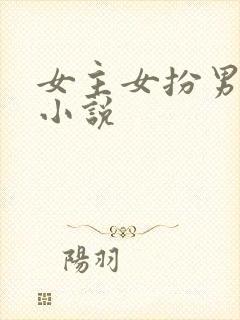 女主女扮男装的小说