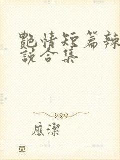 艳情短篇辣文小说合集封面