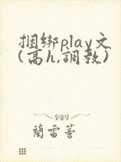捆绑play文(高h,调教)