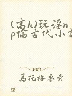 (高h)玩淫np伦古代小说封面