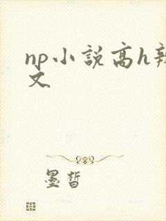 np小说高h辣文