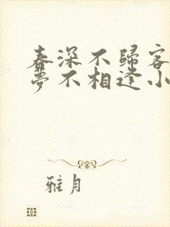 春深不归客 清梦不相逢小说