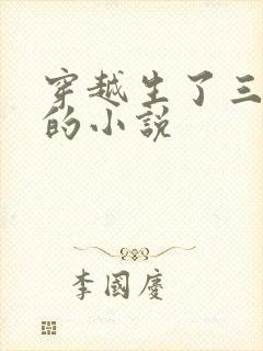 穿越生了三胞胎的小说