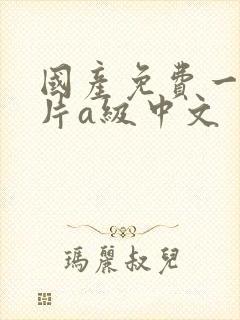 国产免费一级淫片a级中文