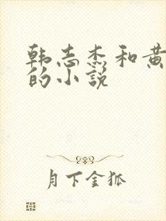 韩志杰和黄雪曼的小说封面