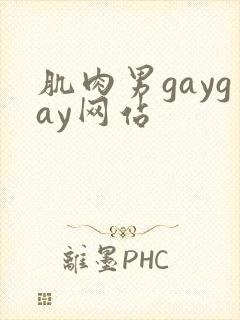 肌肉男gaygay网站封面