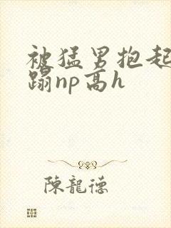 被猛男抱起来糟蹋np高h