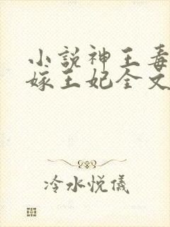 小说神王毒宠二嫁王妃全文
