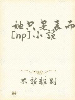 她只是表面清纯[np]小说