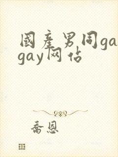 国产男同gaygay网站