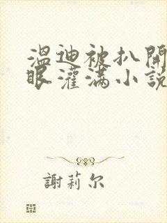 温迪被扒开屁股眼灌满小说封面