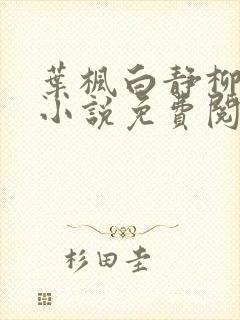 叶枫白静柳如烟小说免费阅读