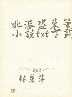 北派盗墓笔记 小说txt下载