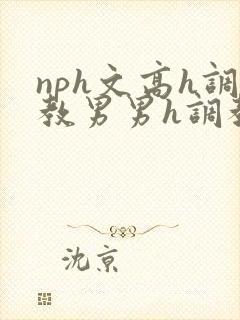 nph文高h调教男男h调教封面
